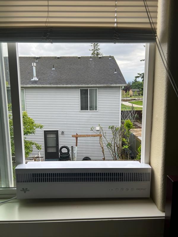 Photo from davidr286_4706