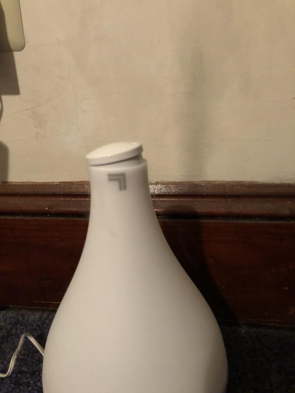 Rotating mist nozzle