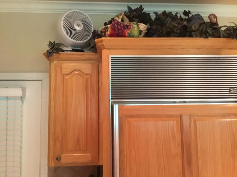 My new fan