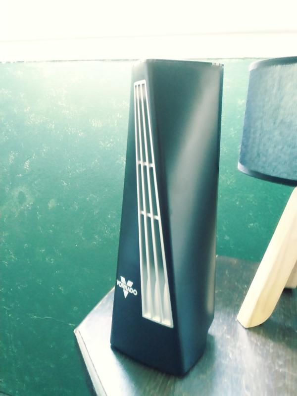 A sleek elegance adds to the appeal of this mighty beauty