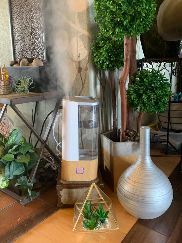 My Beautiful Humidifier