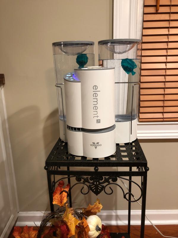 Favorite Humidifier Ever!