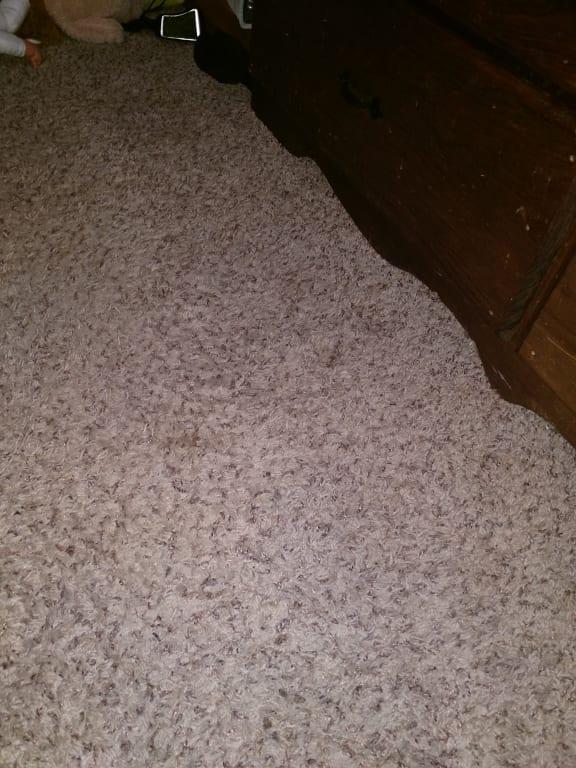 You are being redirected...