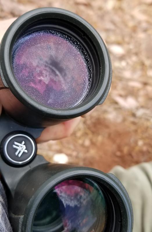 vortex optics viper hd 10x42