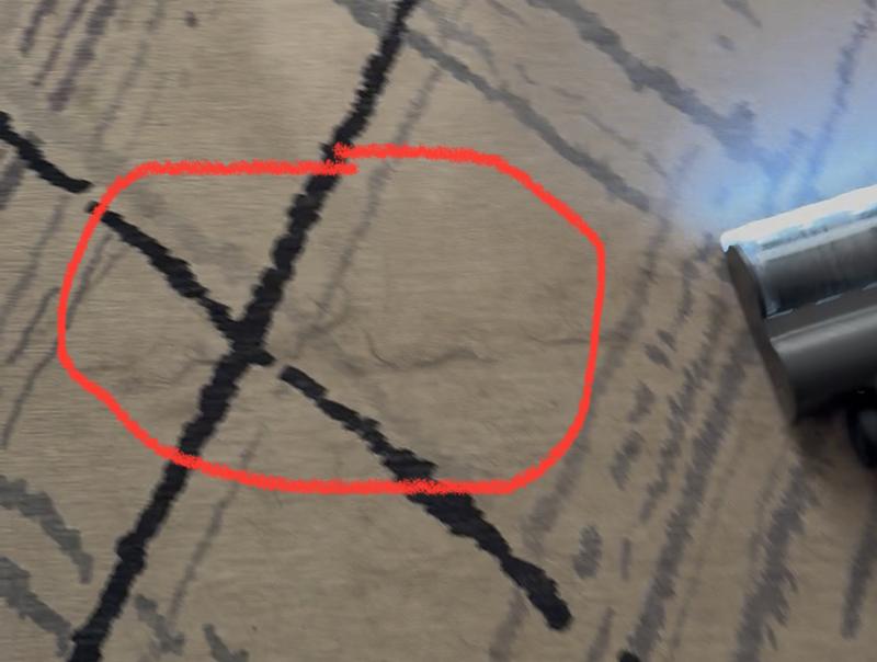 Dog hair left behind