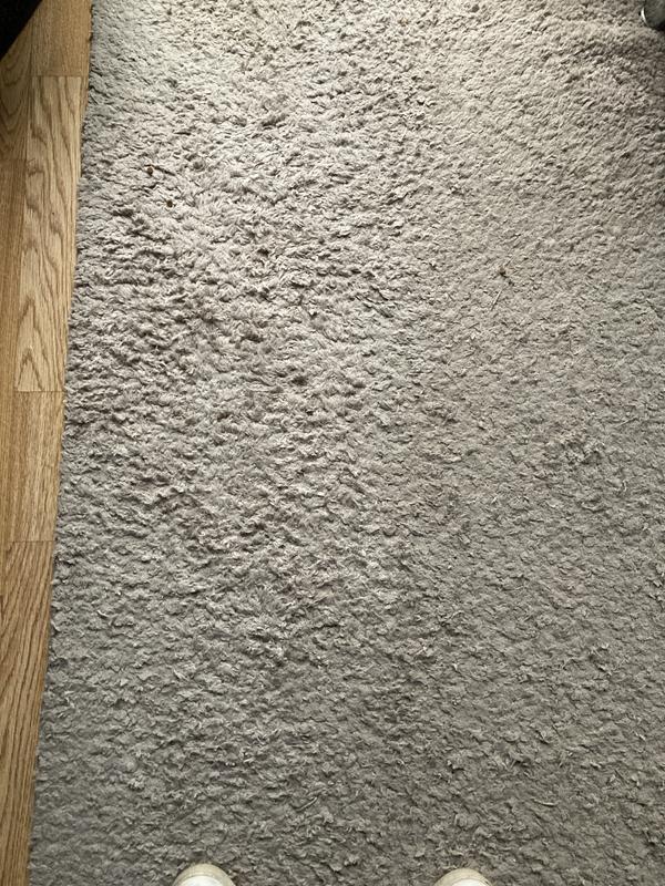 Clean again after my dog was sick