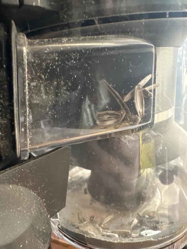 This has just been cleaned within 3 minutes