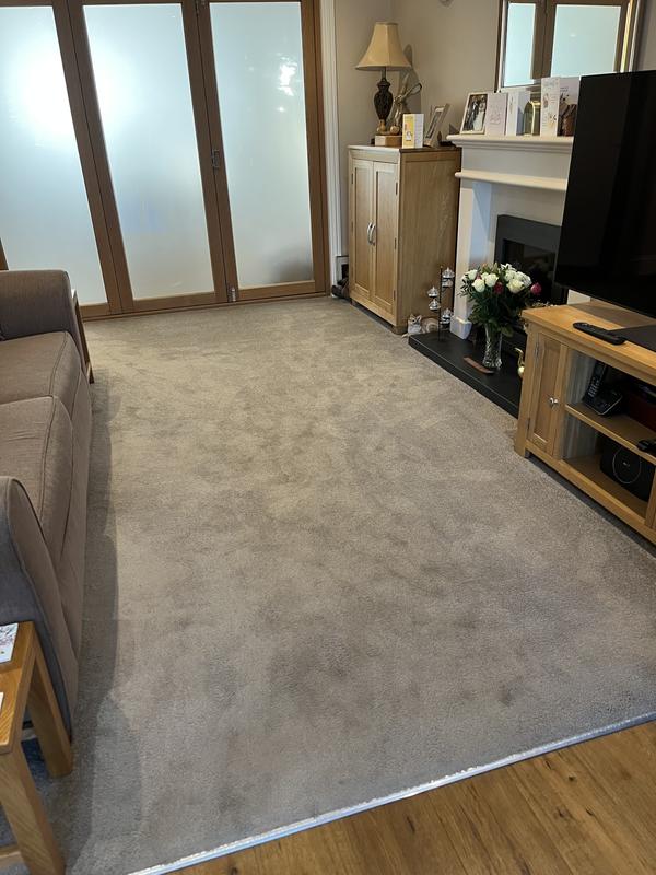 Dirty water and the resulting clean carpet