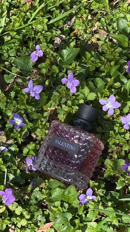 Customer carousel item 4.