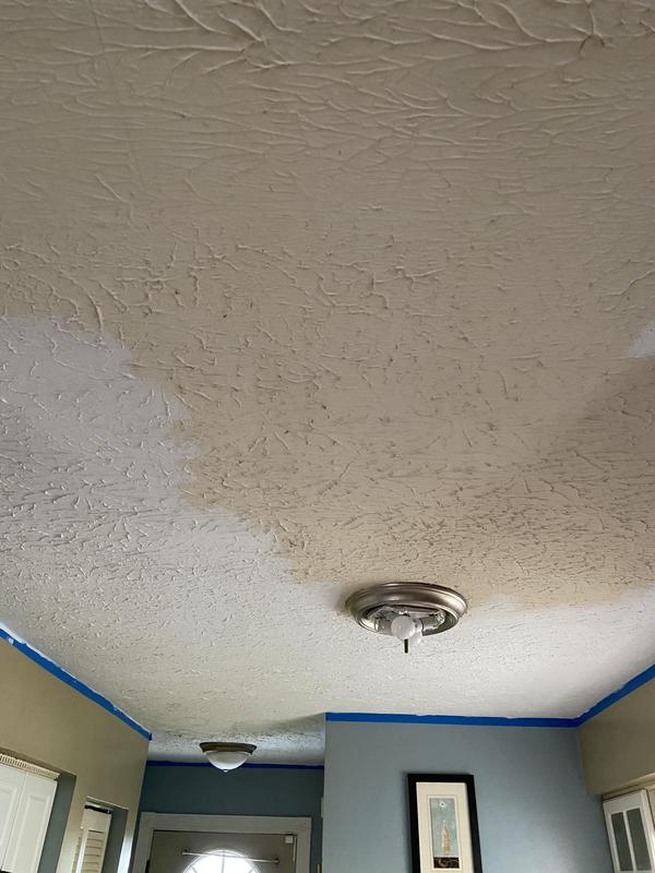 Valspar Color Changing Ceiling Paint Reviews Shelly Lighting