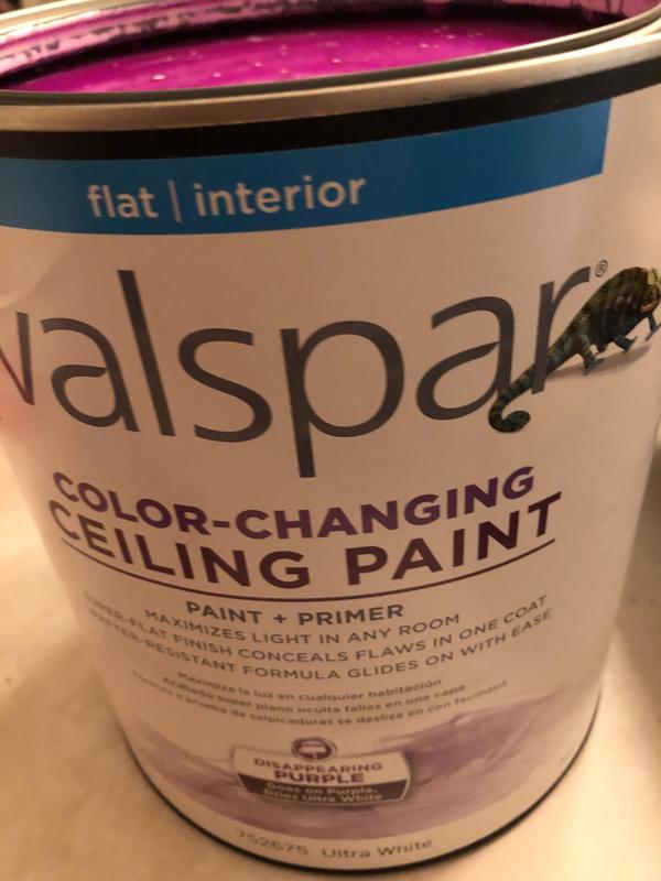 Color Changing Ceiling Paint Valspar