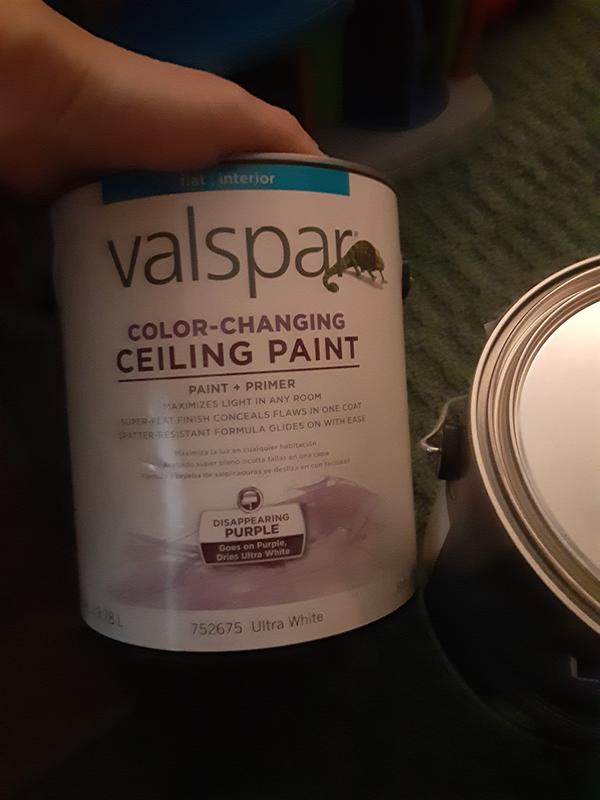 Valspar Color Changing Ceiling Paint Dry Time | Shelly Lighting