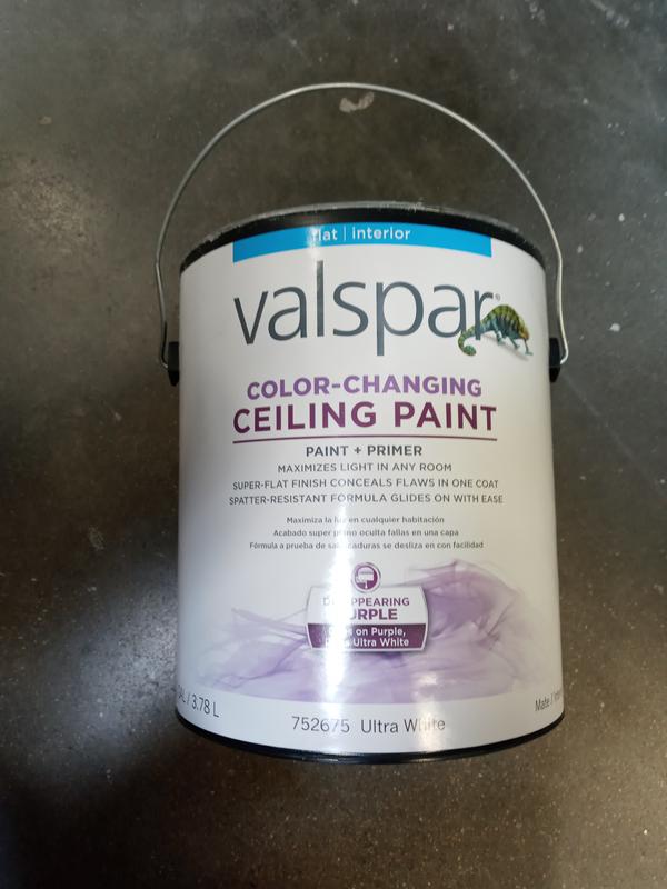 Color Changing Ceiling Paint Valspar