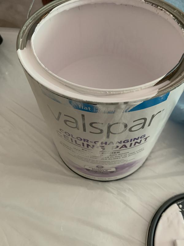 Flat White Ceiling Paint And Primer