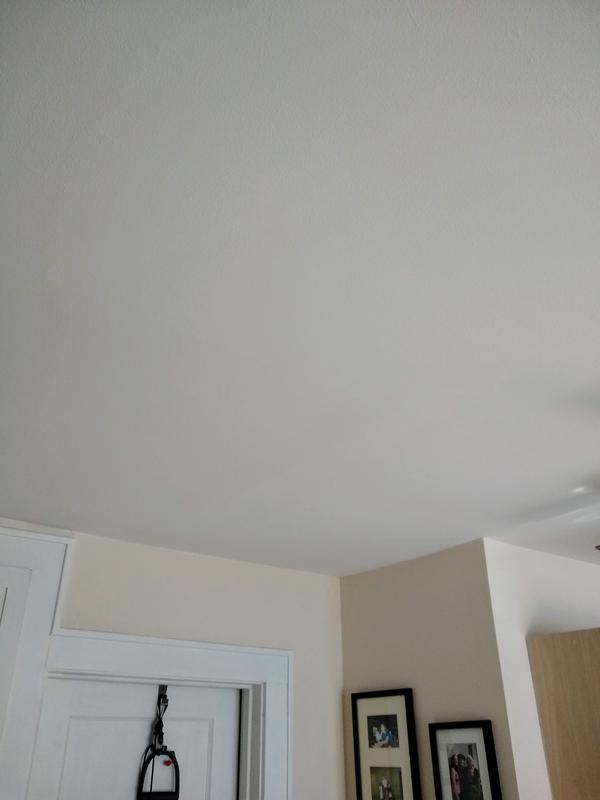 Valspar Signature Flat Ceiling Paint and Primer (1-Gallon) in the Ceiling  Paint department at