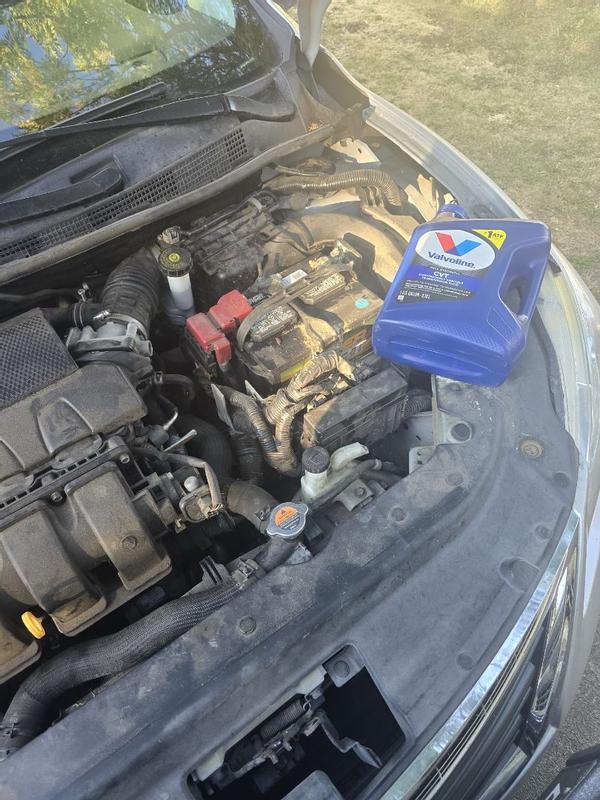 Photo - commentaire 7.