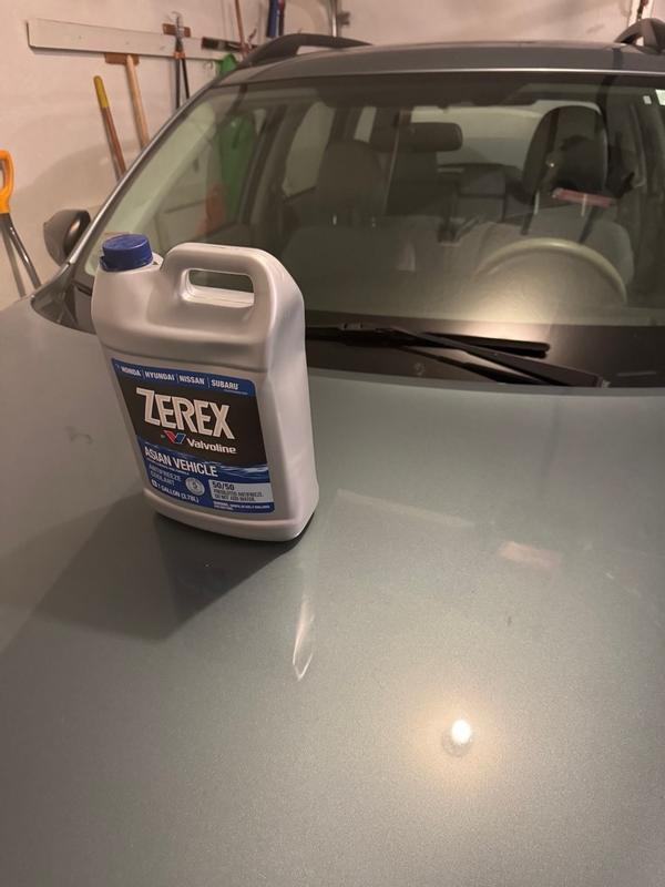 Shop Zerex Asian Vehicle Blue 50/50 Prediluted Antifreeze