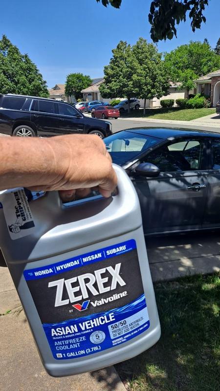 Shop Zerex Asian Vehicle Blue 50/50 Prediluted Antifreeze