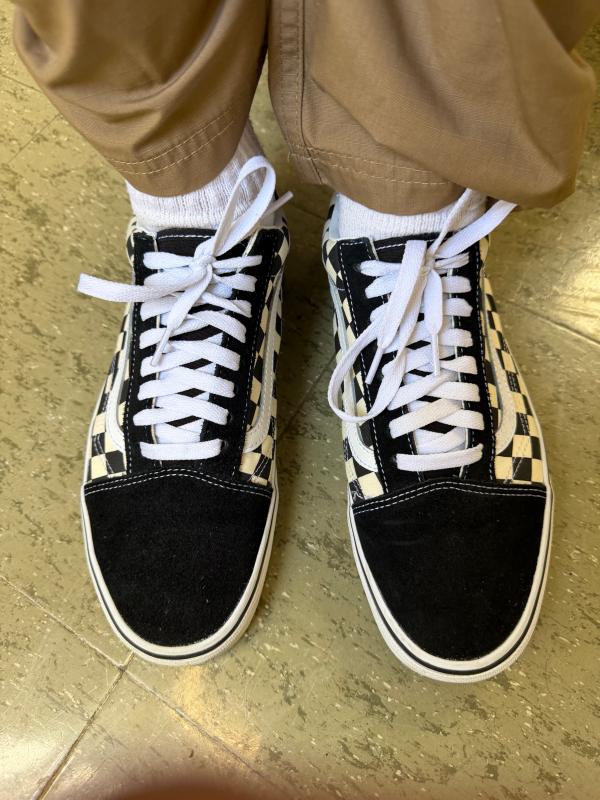 Customer photo for "Got these for replacing aged shoes."