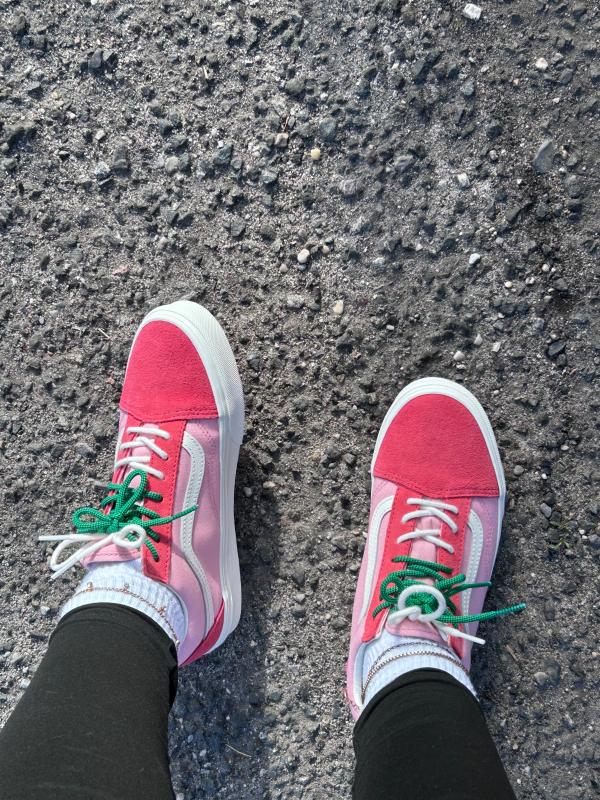 Old Skool Shoe in Incense | Vans