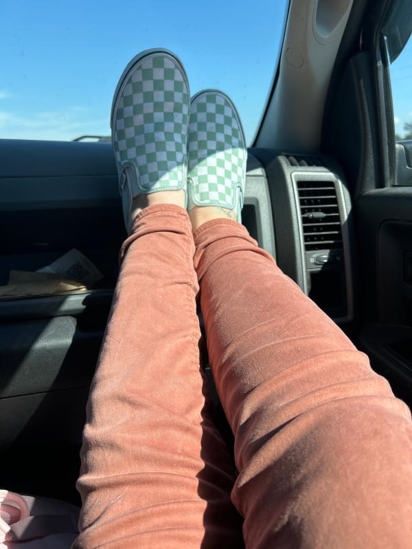 Customer photo for "Mint chip checkers"