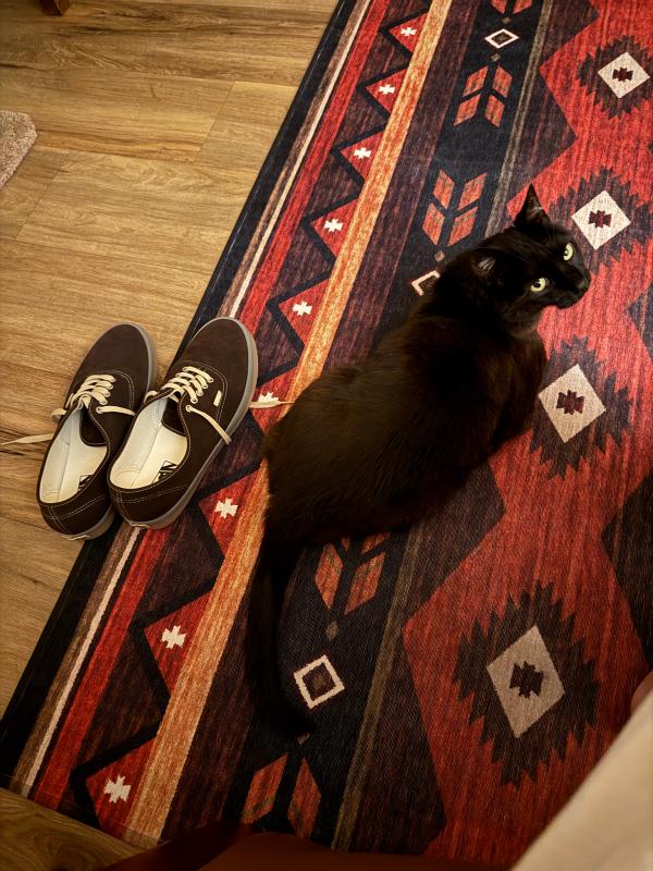 Customer photo for "I love my Vans"