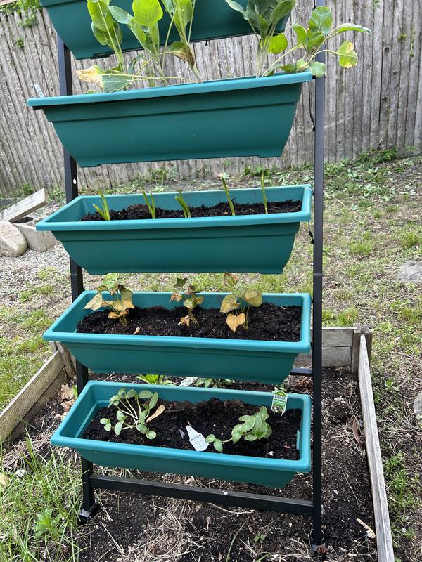 Middle one-3rd from bottom