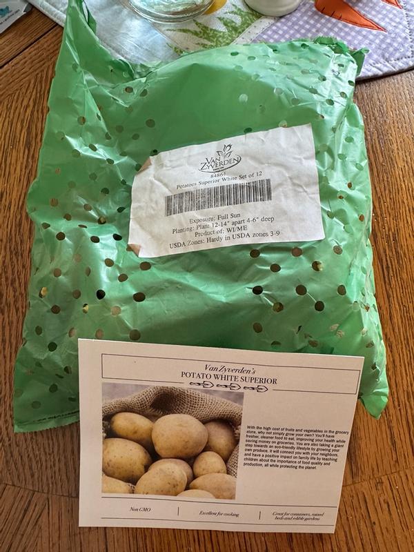 Van Zyverden 12 -Pack Potatoes Superior White Plant in Bulb in the