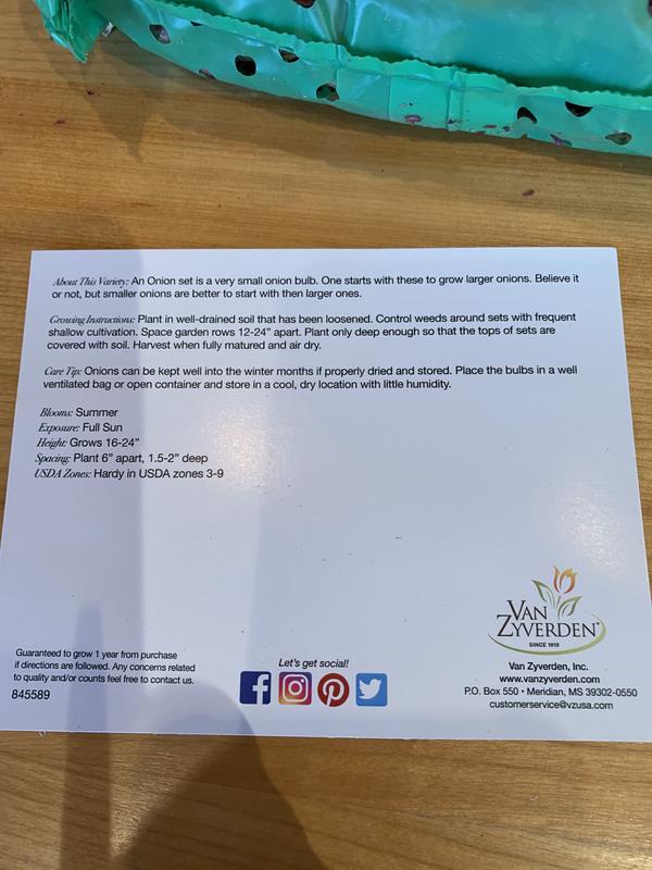 Instructions for Van Zyverden's red onion sets