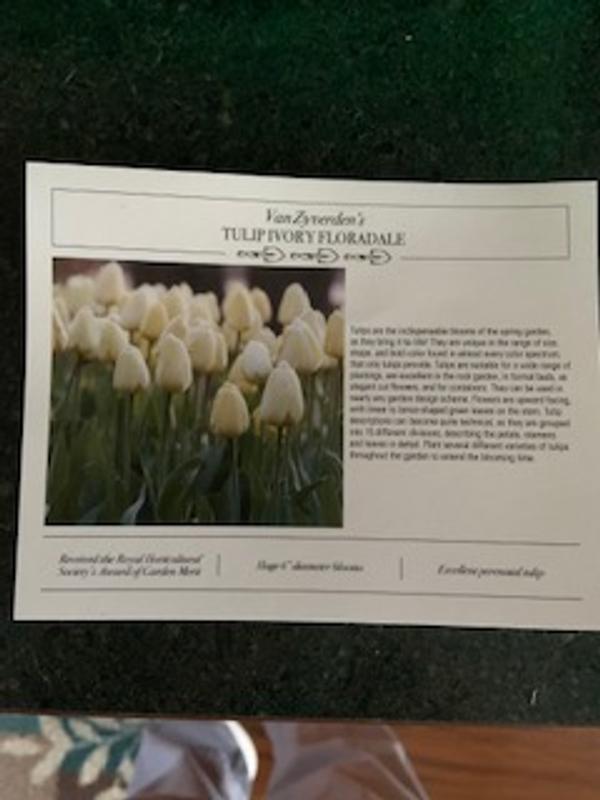 Review photo 1.