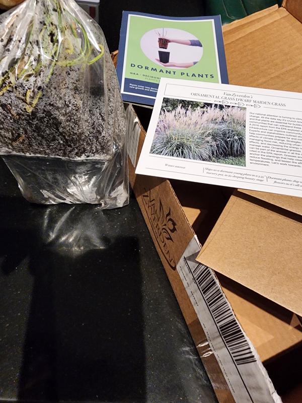 Grass package came!