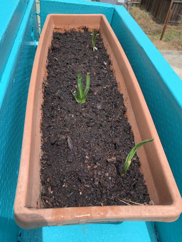 Two and a half weeks later.