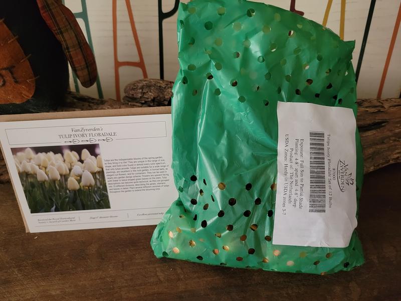 Great Packaging, Thorough Instructions