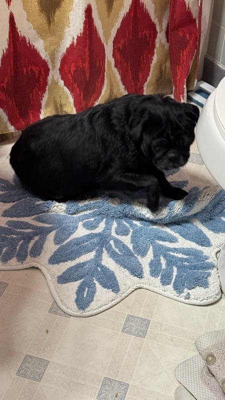 Customer carousel item 9.