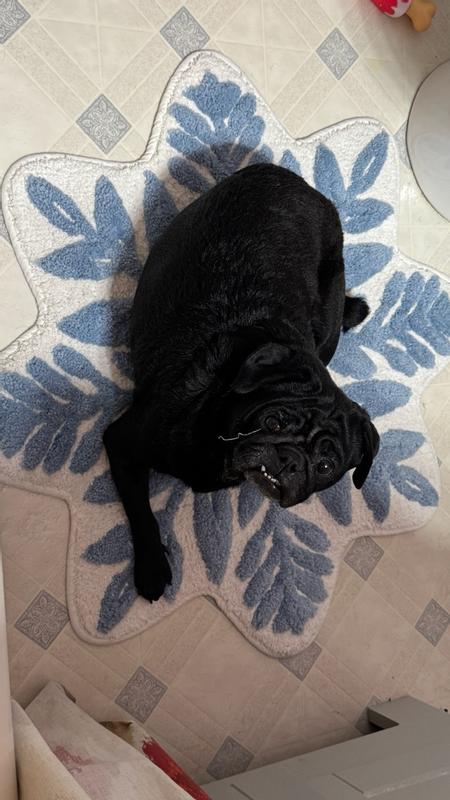 Customer carousel item 10.