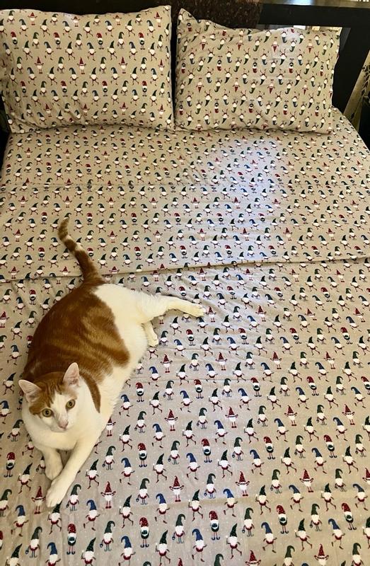 Photo from christined43