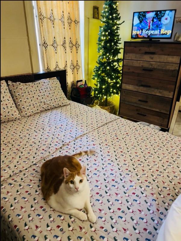 Photo from christined43