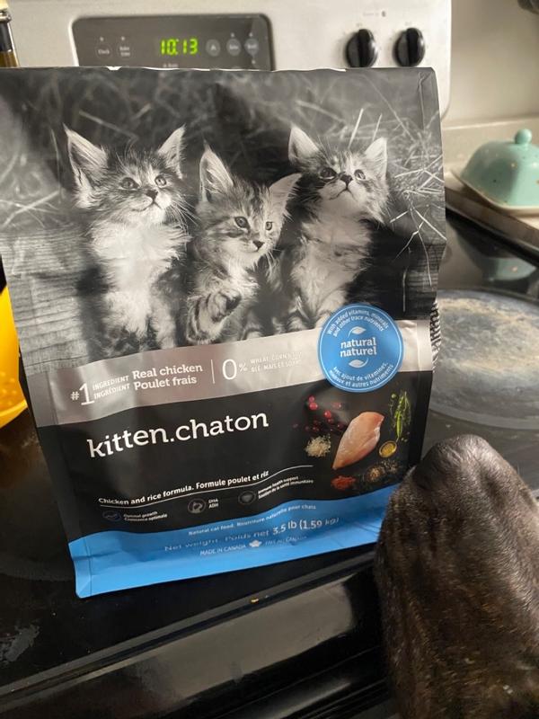 Aldi kitten best sale