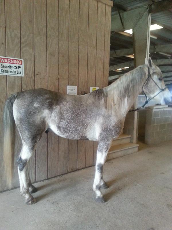 Very playful, always dirty!