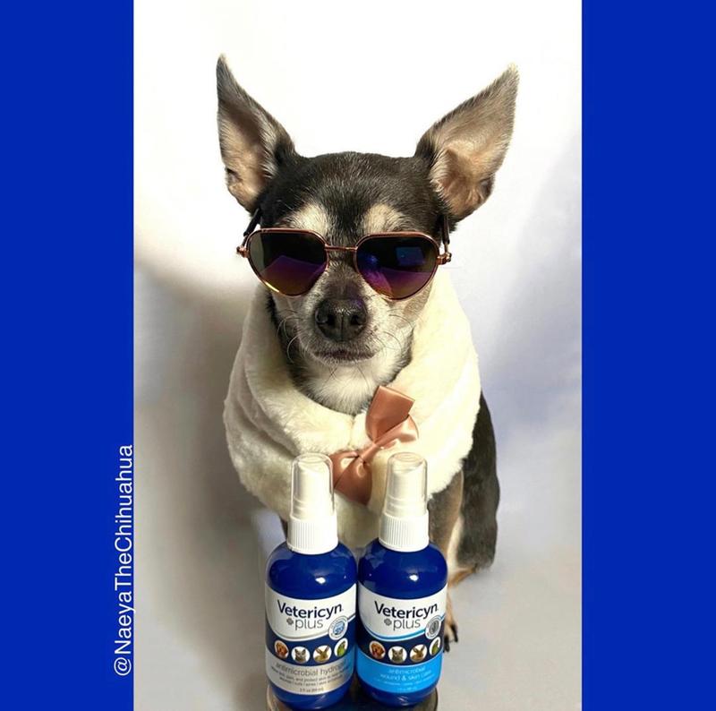 THE BEST PRODUCT YOU WILL FIND !