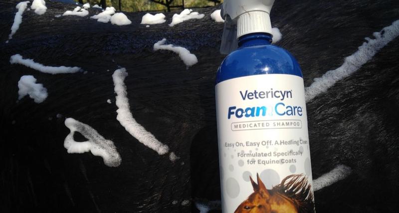 Vetericyn foamcare medicated outlet shampoo