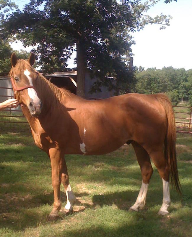 Willie this past summer