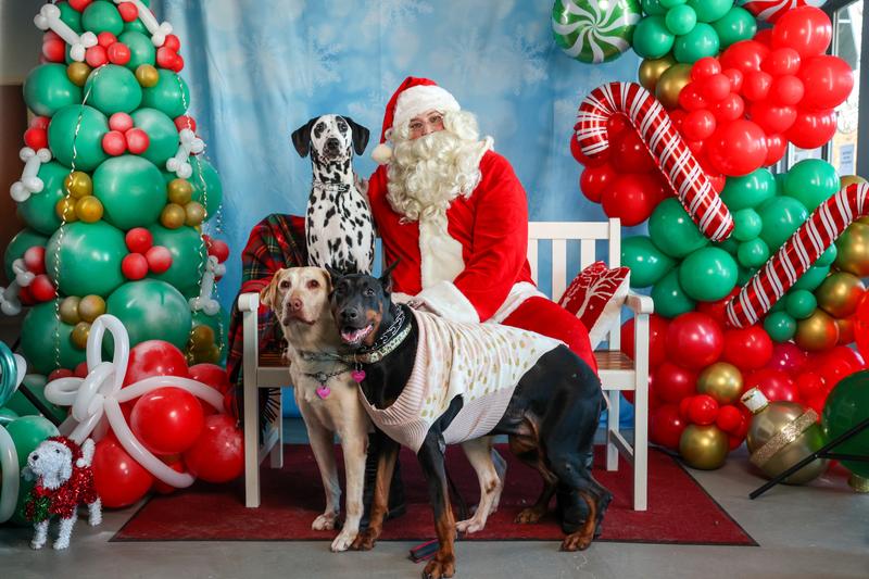 Fresh and clean for Santa