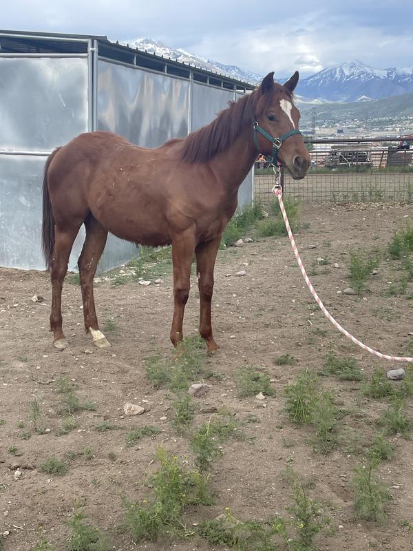 Can’t even see the injury