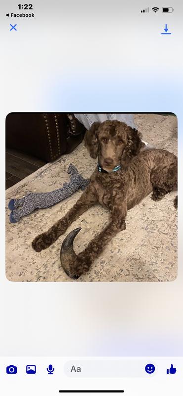 She was chocolate, then changed!!