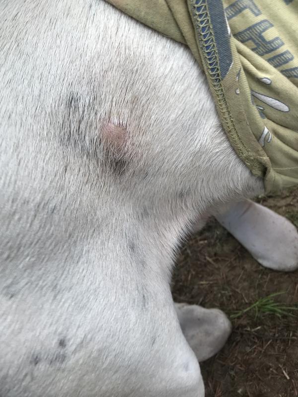 Almost a week of using it! Great results