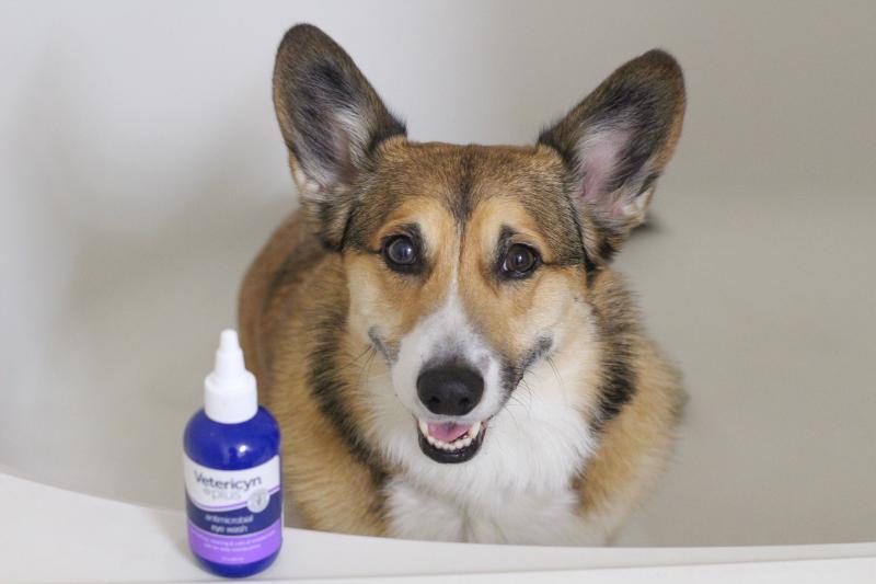 Petco eye wash hotsell