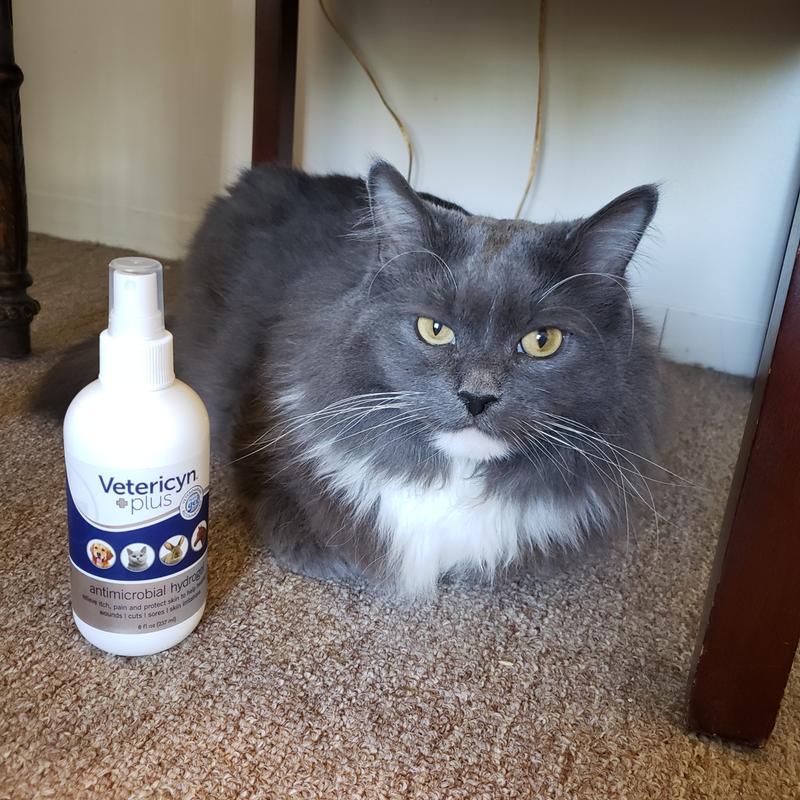 Moegrey_thecat proud to use the Antimicrobial hydrogel spray