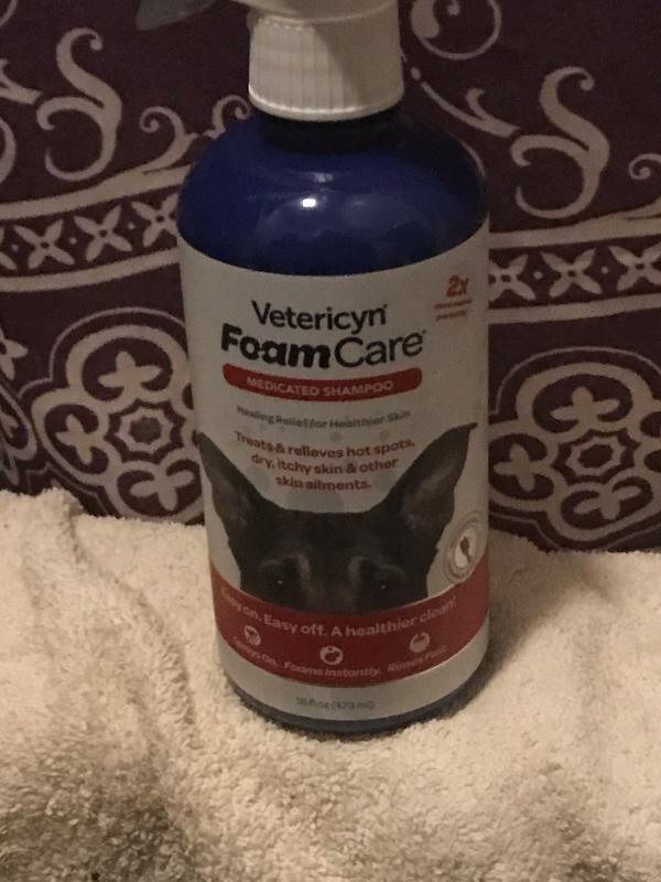 Healthy clean pet outlet medicated dog shampoo