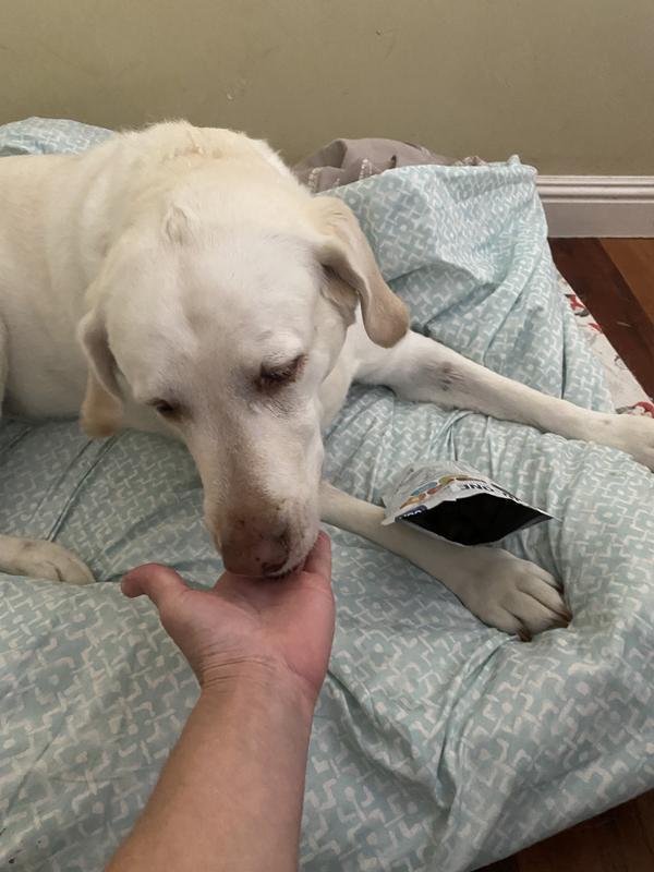 VetIQ 5InOne Dog Health Chews Joint, Heart & Immune Support